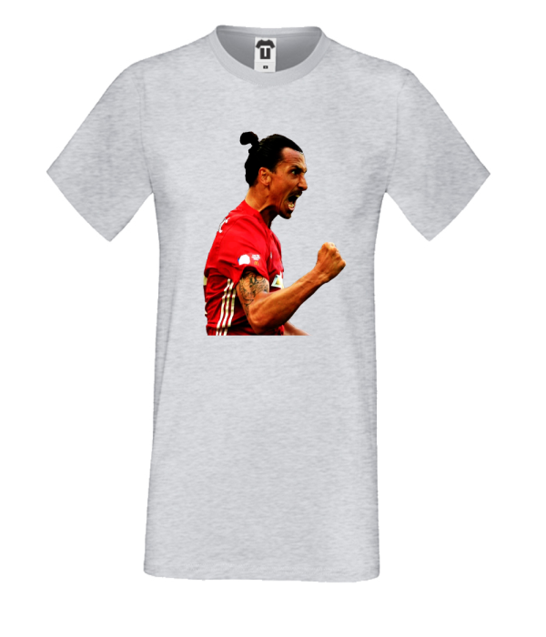 Tricou de barbati gri Zlatan