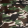Camuflaj 
